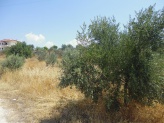 Земельна ділянка Loutra Oreas Elenis 2