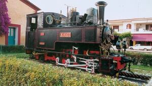 Возобновил свои маршруты уникальный горный поезд на Пелопоннесе.